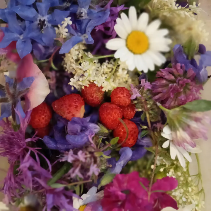 Fleurs Comestibles d'Été – Barquette Fraîche | Cultivées en Occitanie