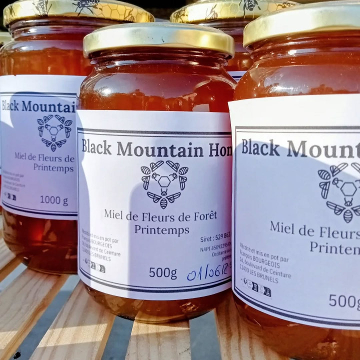 Miel de Printemps Artisanal – Montagne Noire | Pot 500g et 1kg