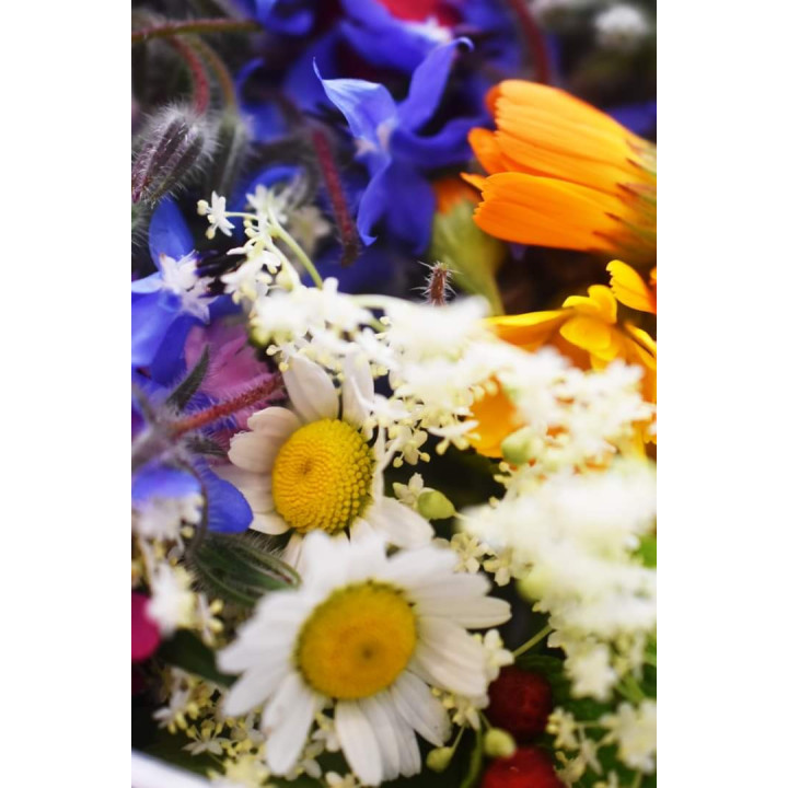 Barquette de fleurs printemps