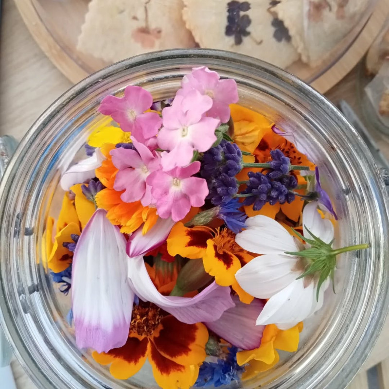 Fleurs comestibles